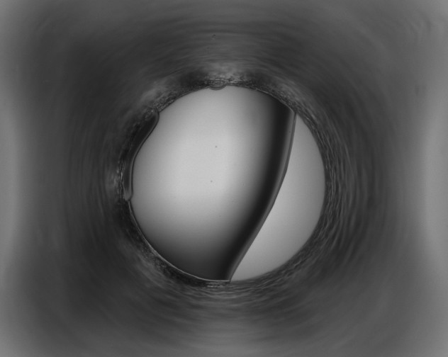 X0000086800601200704130902
