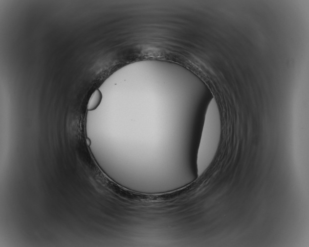 X0000086800603200704130902