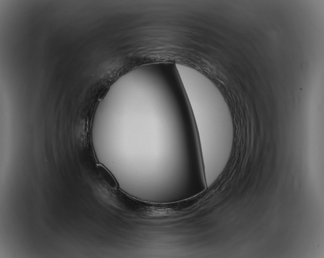 X0000086800605200704130902