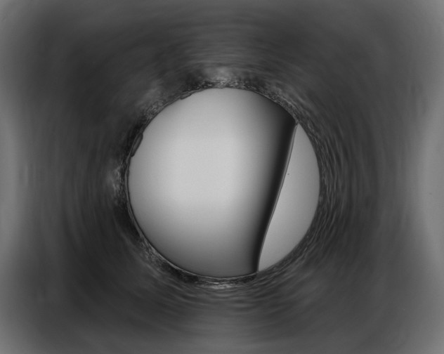 X0000086800611200704130902