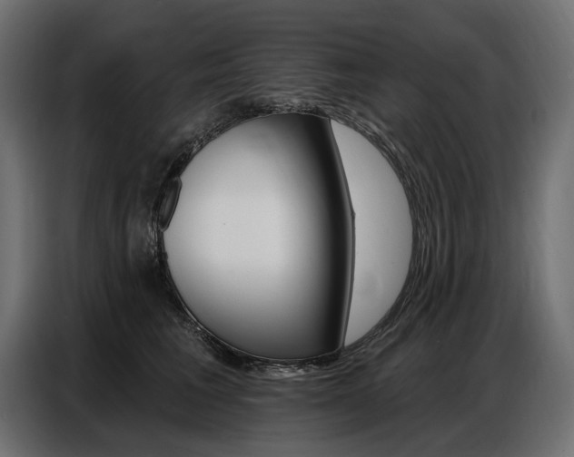 X0000086800613200704130902