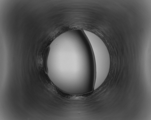 X0000086800617200704130902