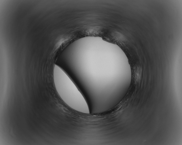 X0000086800619200704130902