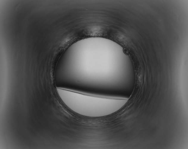 X0000086800620200704130902