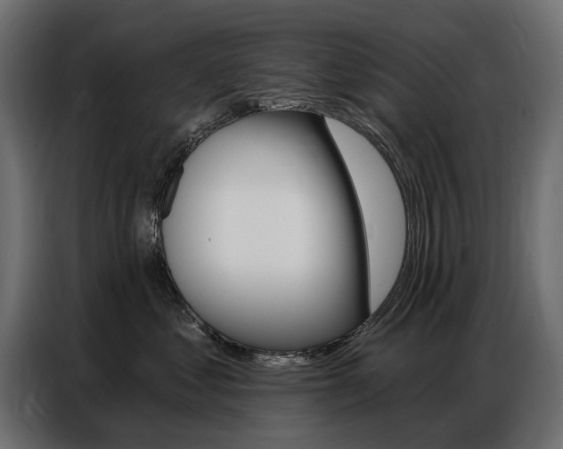 X0000086800621200704130902