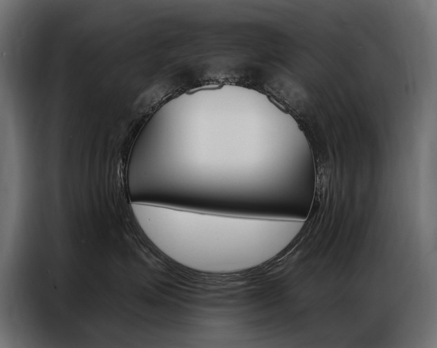 X0000086800623200704130902