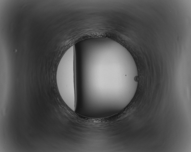 X0000086800624200704130902