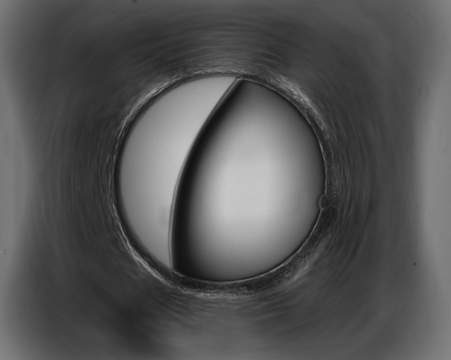 X0000086800625200704130901