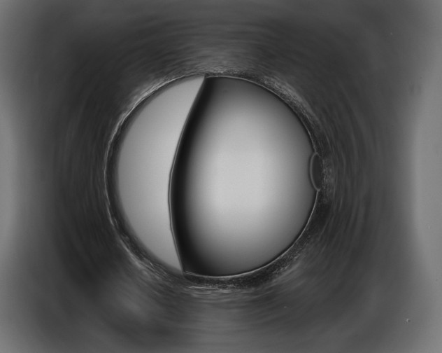 X0000086800626200704130901