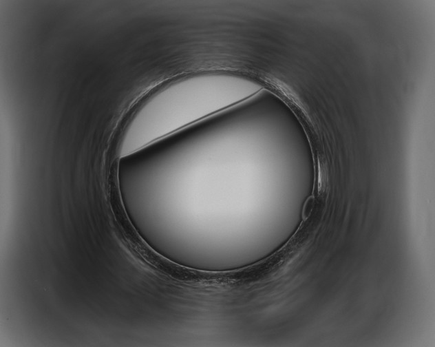 X0000086800627200704130901
