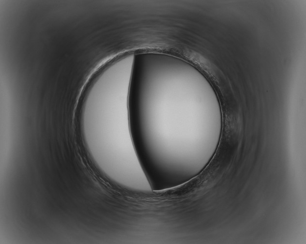 X0000086800628200704130901