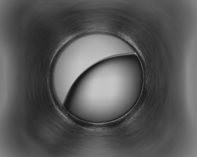 X0000086800629200704130901