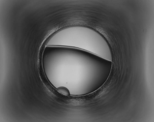 X0000086800630200704130901