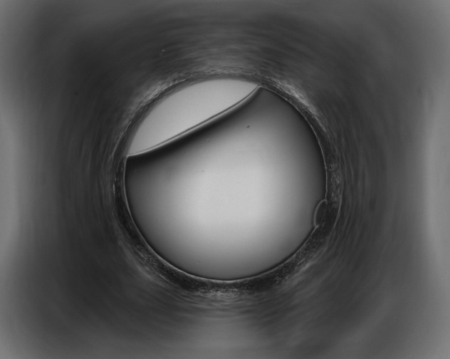 X0000086800631200704130901