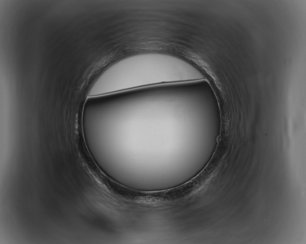 X0000086800633200704130901