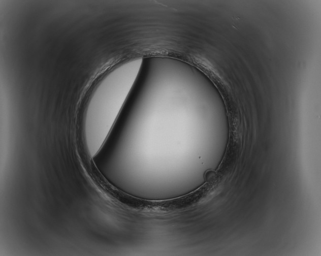 X0000086800634200704130901