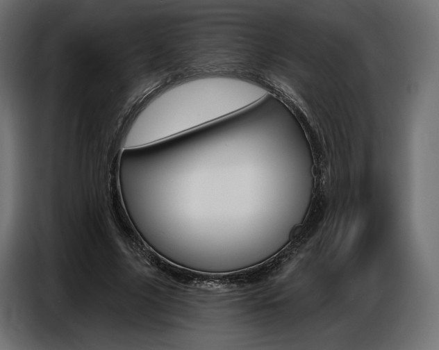 X0000086800635200704130901