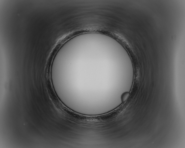X0000086800636200704130901