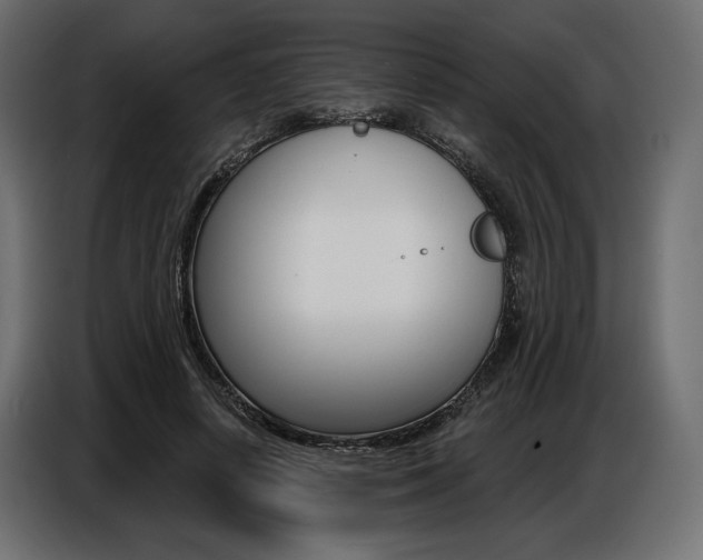 X0000086800642200704130901