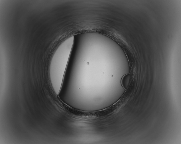 X0000086800644200704130901