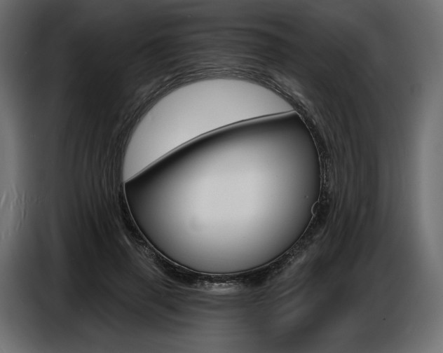 X0000086800645200704130901