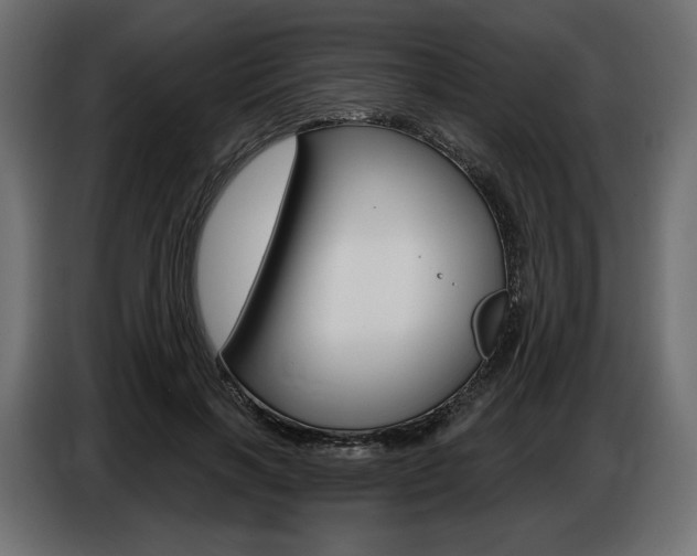 X0000086800646200704130901