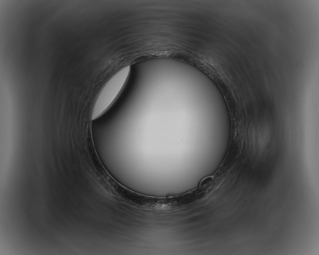 X0000086800647200704130901