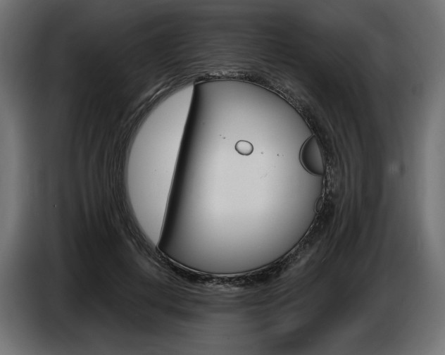 X0000086800648200704130901