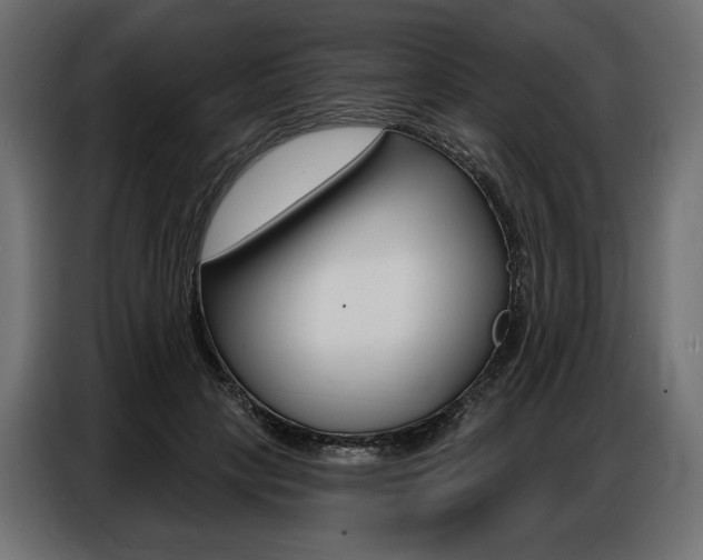 X0000086800649200704130901