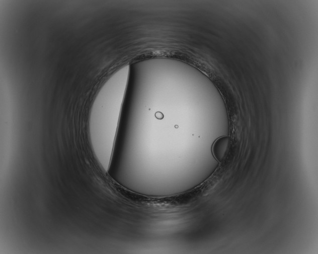X0000086800650200704130901