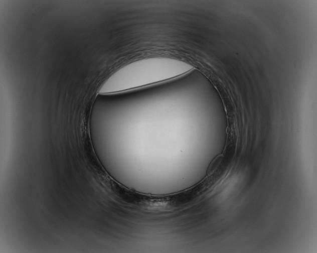 X0000086800651200704130901