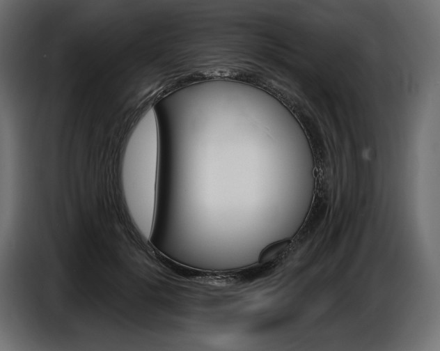 X0000086800652200704130901