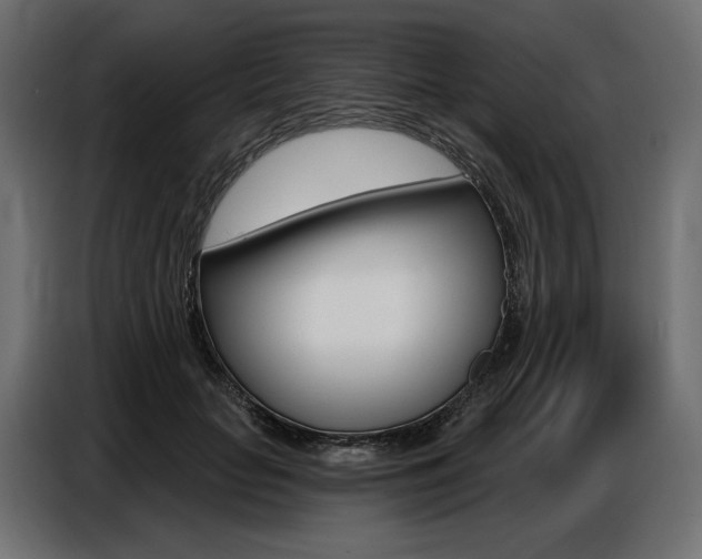 X0000086800653200704130901