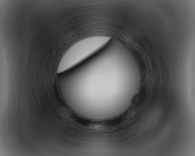 X0000086800655200704130901
