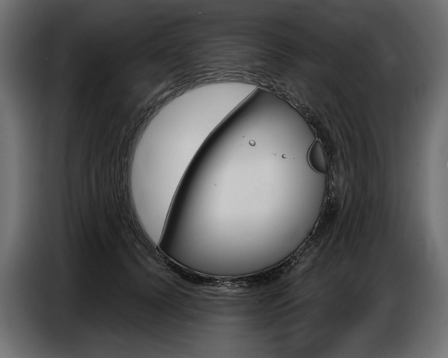 X0000086800656200704130901