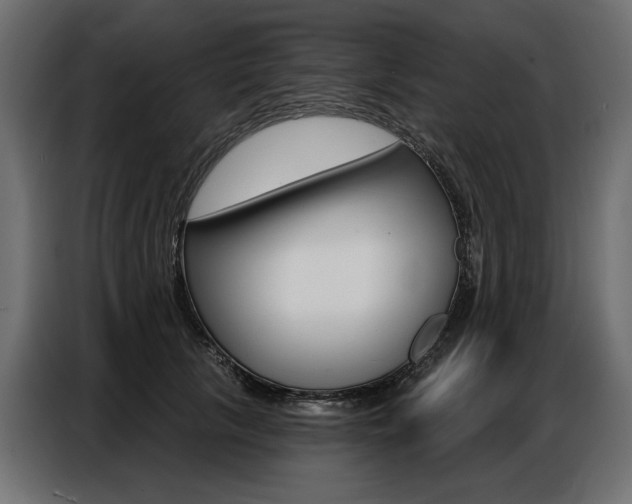 X0000086800657200704130901