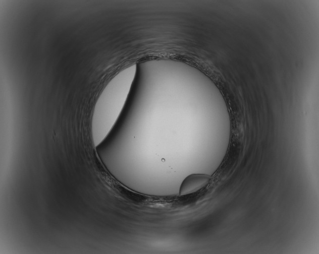 X0000086800658200704130901