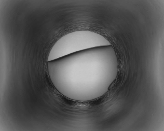 X0000086800659200704130901