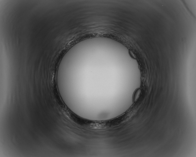 X0000086800660200704130901