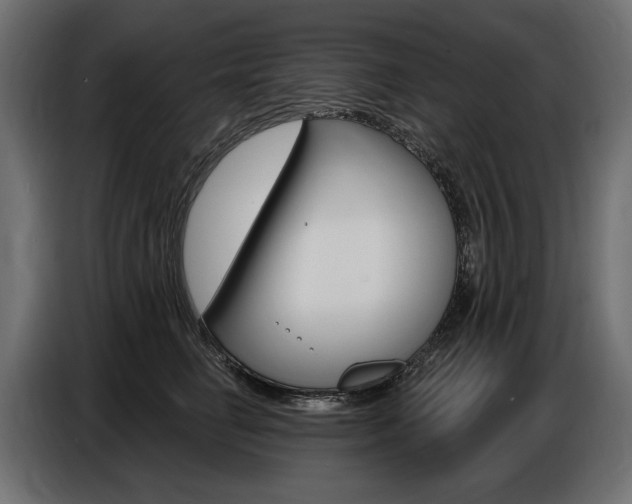 X0000086800662200704130901