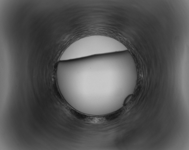 X0000086800663200704130901