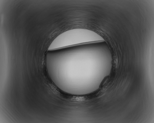 X0000086800665200704130902