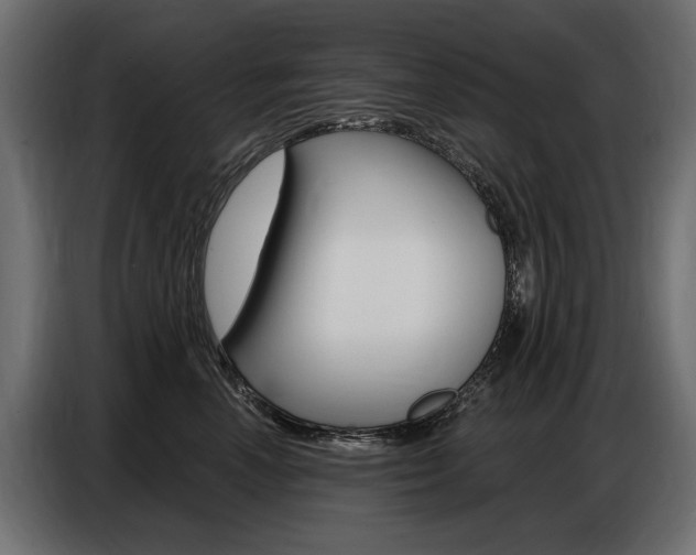 X0000086800666200704130902