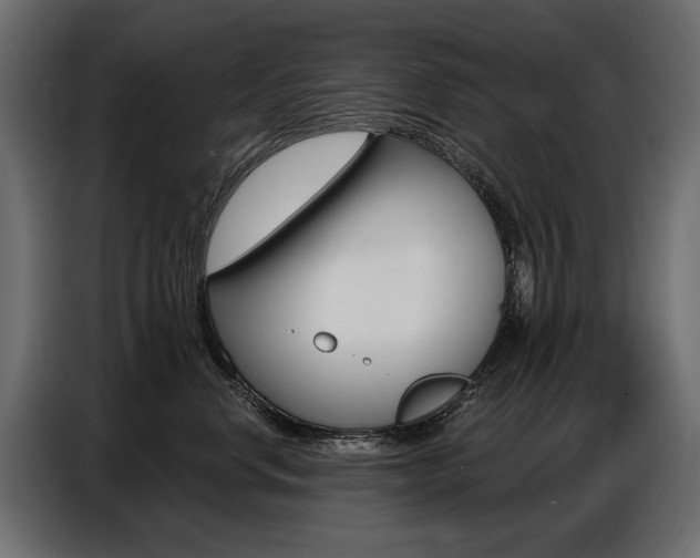X0000086800668200704130902