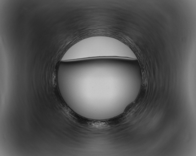 X0000086800669200704130902