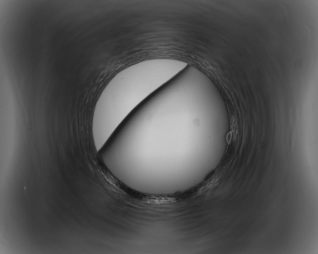 X0000086800670200704130902