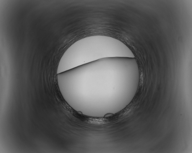 X0000086800671200704130902