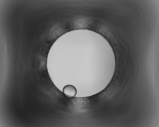 X0000086800672200704130902