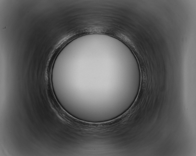 X0000086800674200704130901