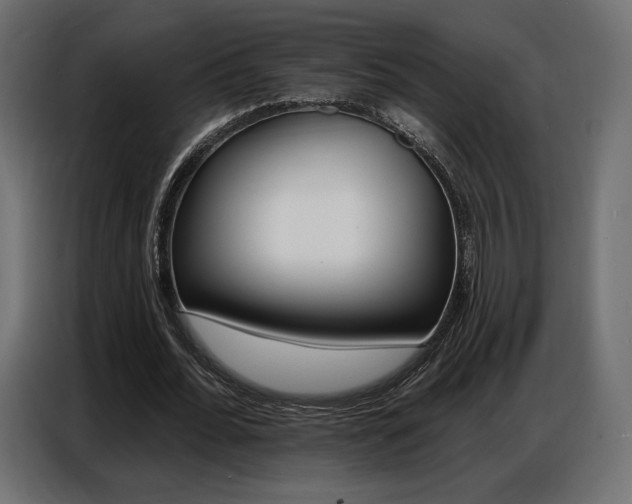 X0000086800676200704130901